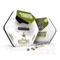 blueberry-cheese-autoflowering (1).jpg
