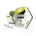 white-widow-haze (1).jpg