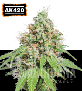 AK420 - SEED STOCKERS