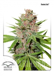 Passion Fruit® - DUTCH PASSION
