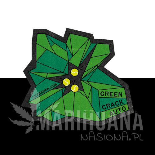 green-crack-auto-seedsman-1.jpg
