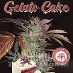gelato-cake-t-h-seeds-1.jpg