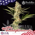 buddha-wedding-cheesecake-buddha-seeds-1.jpg