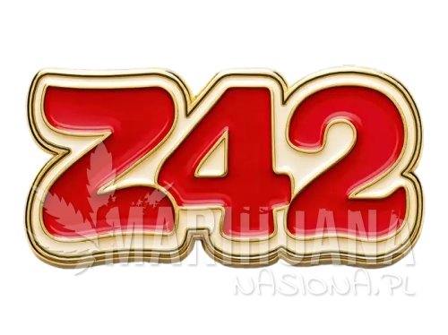g_z42_1755794026.webp