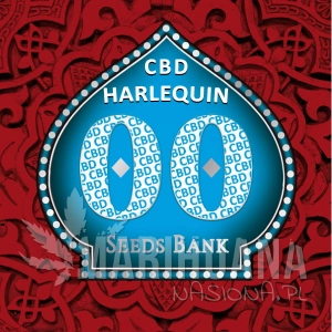 Harlequin CBD - 00 SEEDS BANK