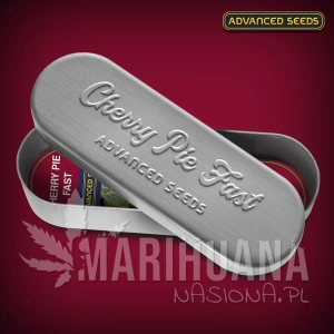 Cherry Pie Fast - ADVANCED SEEDS