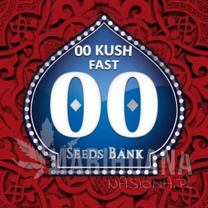 00 Kush Fast - 00 SEEDS BANK