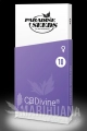CBDivine-Cannabis-Seed (1).jpg