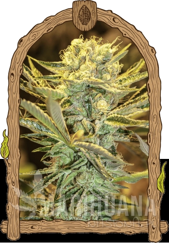 hippieberry_woodenframe_940x1350 (1).png