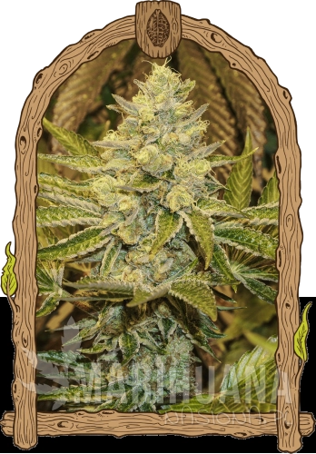 exoticanimal_woodenframe.png