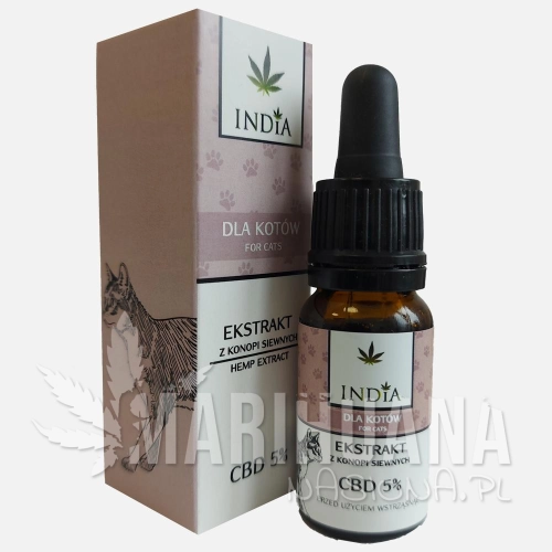 cbd_kot_szare.jpg