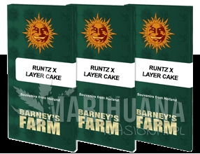 thumb_runtz-x-layer-cake_packet_1_seed.png