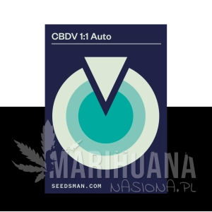 CBDV 1:1 Auto - SEEDSMAN