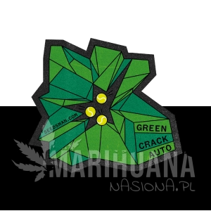 Green Crack Auto - SEEDSMAN