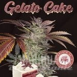 Gelato Cake - T.H. Seeds