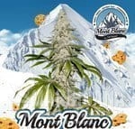 Mont Blanc - T.H. Seeds