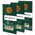 white-widow-xxl_packet_large_seeds.jpg