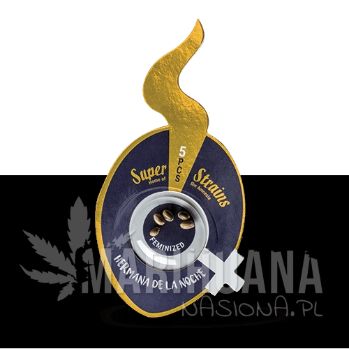 hermana-de-la-noche-super-strains-1.jpg