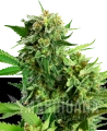 feminizowane-blackberry-cake-xl.png