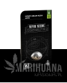 automatyczne-honey-melon-kush-xl-2.png