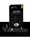 feminizowane-cashew-kush -xl-2.png
