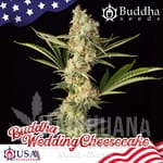 Buddha Wedding Cheesecake - BUDDHA SEEDS