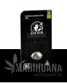 purple-cookie-kush-feminizowane-xl-4.png