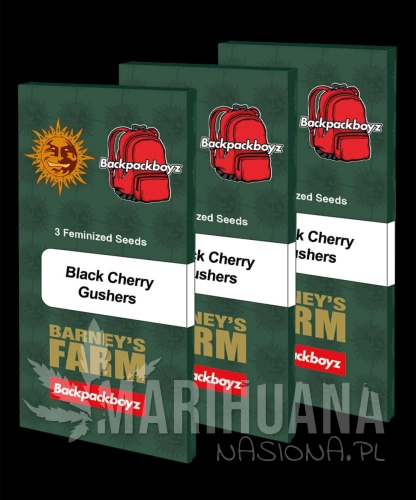 __black-cherry-gushers_circle_new_21_663367.jpg