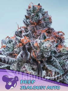Deep Jealousy Auto - ANESIA SEEDS