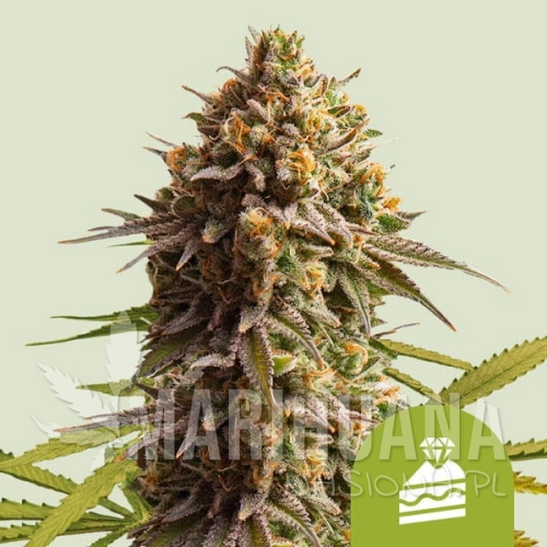 wedding-cake-automatic.jpg
