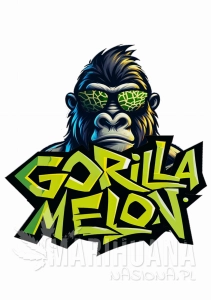 Gorilla Melon - FASTBUDS