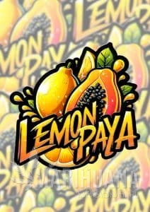 Lemonpaya - FASTBUDS