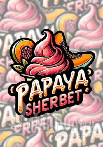 s_tsp_2x_papaya_sherbet_transparent_1712218129.jpg