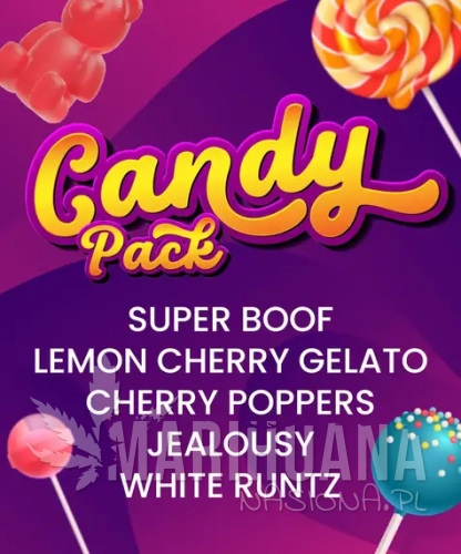 candy-pack_circle_new_21_345439.webp