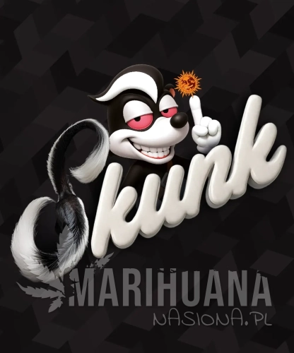 __skunk-1_circle_new_21_337003.webp