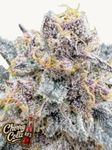 Cherry Cola Auto RF3 - FASTBUDS