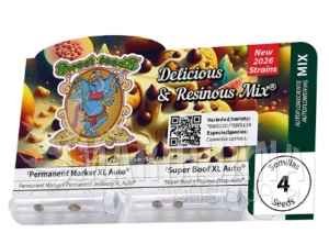 Delicious & Resinous Mix - SWEET SEEDS