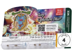 Terp Explosion Mix - SWEET SEEDS