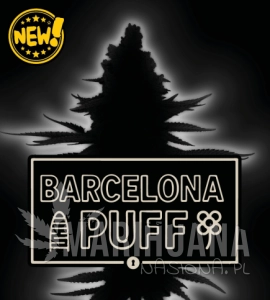 Barcelona Puff Auto - SEED STOCKERS