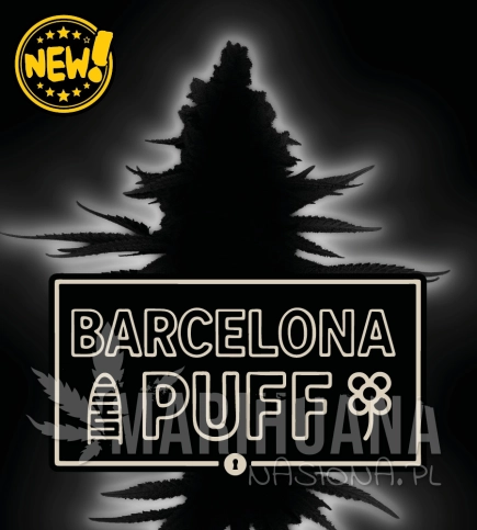 barcelona-puff-nasiona-konopi-feminizowane.jpg