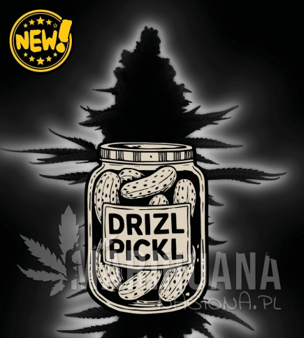 drizl-pickl-nasiona-konopi-automatyczne.jpg