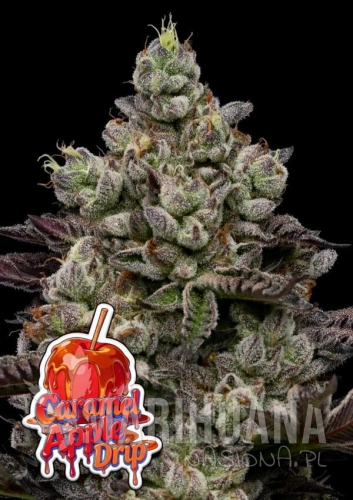 Caramel-Apple-Drip-960x1359-1-600x849.jpg