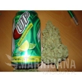 paradise_seeds_ice-cream_3.jpg