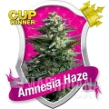 amnesia-haze.jpg
