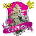 blue-mistic.jpg
