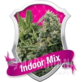 indoor-mix.jpg