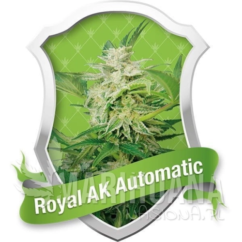 royal-ak-automatic (1).jpg