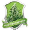 critical-automatic.jpg
