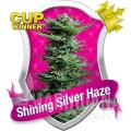 shining-silver-haze.jpg