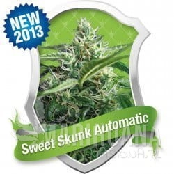 Sweet Skunk Automatic - ROYAL QUEEN SEEDS